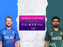 特别是在主 特别是在主